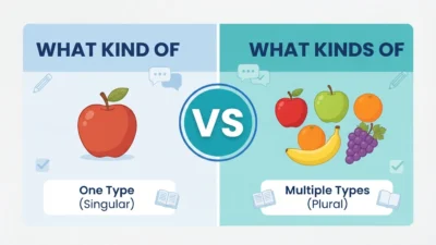 What Kind of vs What Kinds of