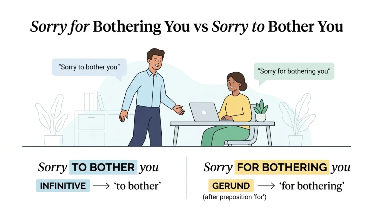 Sorry for Bothering You vs Sorry to Bother You